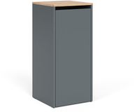 Vicco Viktor Badkamerkast – 40.2 x 88.2 cm met wasmand Antraciet/gouden eik