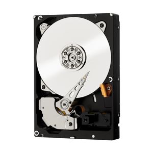 Western Digital WD1004FBYZ - Interne harde schijf - 3.5 inch