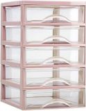 Plasticforte Ladeblokje/bureau organizer 5x lades - oud roze/transparant