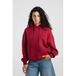 America Today Rood Hoodie met Backprint