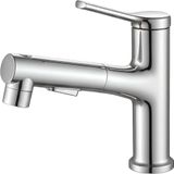 Avizar Multifunctionele Wastafelmengkraan met Uittrekbare Verchroomde Slang en Mondspoelfunctie, Zilverkleurig