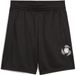 Active PUMA Active Sports Graphic Poly Shorts B