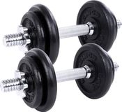SONGMICS Set haltères en fonte, 20 kg
