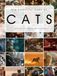 Big Beautiful Book of Cats: Cat Hardcover Coffee Table Picture Book | Cat Breed Photography Images | Feline Home Decor Accent Piece