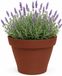 EDA Romeo Bloempot / plantenpot - kunststof - terracotta - D21 x H16 cm - binnen en buiten