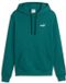 Puma ESS 2 COLOR Small No.1 Logo-hoodie TR Emerald Ice 3XL