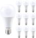 HOFTRONIC - Voordeelverpakking 10x E27 LED Lampen - 15 Watt - 1521 lumen - 6500K Daglicht wit licht - Grote fitting