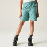 Regatta Short Kinderen Hiking Sorcer Mountain Shorts III Groen Unisex Polyester