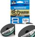 Shimano Kairiki 8 Gevlochten Vislijn 300 M Veelkleurig 0.060 mm