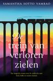 De Mozaiek De trein van verloren zielen