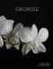 Orchids: Bol Orchids: Out of the Dark Paperback