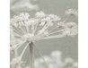 20 Frost-coverd 20 servetten 33x33 cm