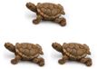 Tortue décoration résine - Ornement de jardin - 3 pièces - Env. 66 mm - Pour intérieur et extérieur