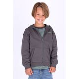 B.Nosy rechtvallend sweatvest - antraciet