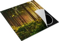 Chefcare Inductie Beschermer Bos met Zon tussen de Bomen - 78x78 cm - Multicolor