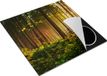 Chefcare Inductie Beschermer Bos met Zon tussen de Bomen - 78x78 cm - Multicolor
