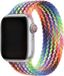 123watches Nylon Gevlochten Solo Band - Pride Edition 2024 - Multicolore - Geschikt voor Apple Watch 44, 45, 46 & 49mm