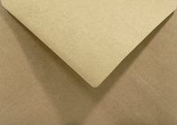 Netuno Ecologische bruine enveloppen A5 - 162 x 229 mm - C5 - 20 stuks - 100 gram