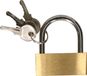 CM Hangslot met sleutel - 45 mm beugel - Brons