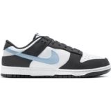 Nike Trainers Nike Dunk Low