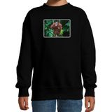 Bellatio Decorations Dieren sweater met apen foto - zwart - voor kinderen - natuur / Orang Oetan aap cadeau trui - sweat shirt / kleding 110/116