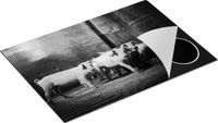 Chefcare Inductie Beschermer Varkens op een Boerderij Stal - Zwart Wit - 75x50 cm