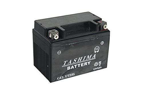 Greenstar 492959 gelaccu (Ytz5s), zwart