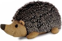 Aurora Kingspoint Toys & Gifts Pluche knuffel egeltje van 20 cm