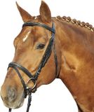 HKM Hoofdstel -Jana- zwart Cob