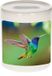 Bellatio Decorations Shoppartners Bv Dieren kolibrie vogel foto spaarpot 9 cm
