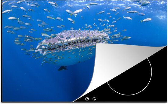 KitchenYeah® Inductie beschermer Walvishaai 77x51cm - Inductiebeschermer voor kookplaat