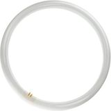 Philips LED Philips MASTER TL-E Circular Super 80 G10Q 40W 3000K 3200lm