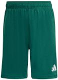 Adidas Entrada 26 Korte Broek Groen 15-16 Years Kinderen
