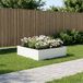 vidaXL Plantenbak Wit 100 x 100 x 30 cm Koudgewalst Staal