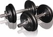Toorx Fitness Dumbbellset 20 kg met Koffer