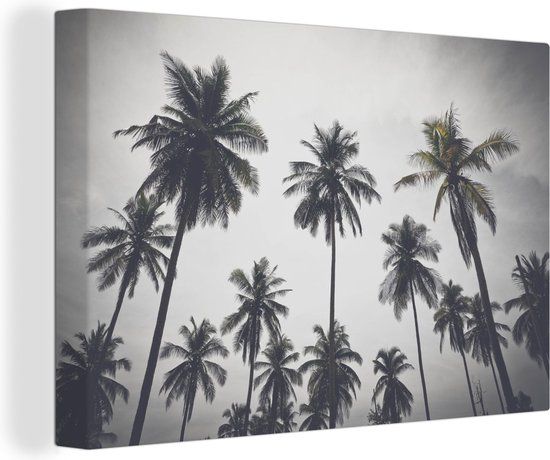 OneMillionCanvasses Canvas Schilderij Palmboom - 150x100 cm - Wanddecoratie - Tropisch - Multicolor
