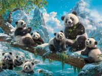 Castorland Puzzel Winterplezier Panda's - 2000 Stukjes