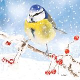 PPD Lunch servetten Oiseau glacé - 33x33 cm