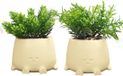 Unyqoos® Set de deux plantes artificielles joyeuses avec pot pour la décoration intérieure