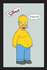 empireposter Simpsons, The Stupid Gravity - afmetingen (cm), ca. 20x30 - Bedrukte spiegel, NIEUW - beschrijving: - Bedrukte wandspiegel met zwart kunststof frame in houtlook -