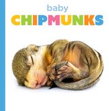 Baby Libri GmbH Baby Chipmunks Paperback