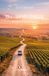 Per le strade della Champagne. Alla scoperta di 59 piccoli vigneron