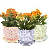 Chive 'Liberte' keramische plantenpotten - Set van 3 - karmozijnrood, groen en blauw