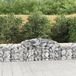 Maison Exclusive - Geknoopte gaasbakken, 12 stuks, 300x50x60/80 cm, verzinkt staal