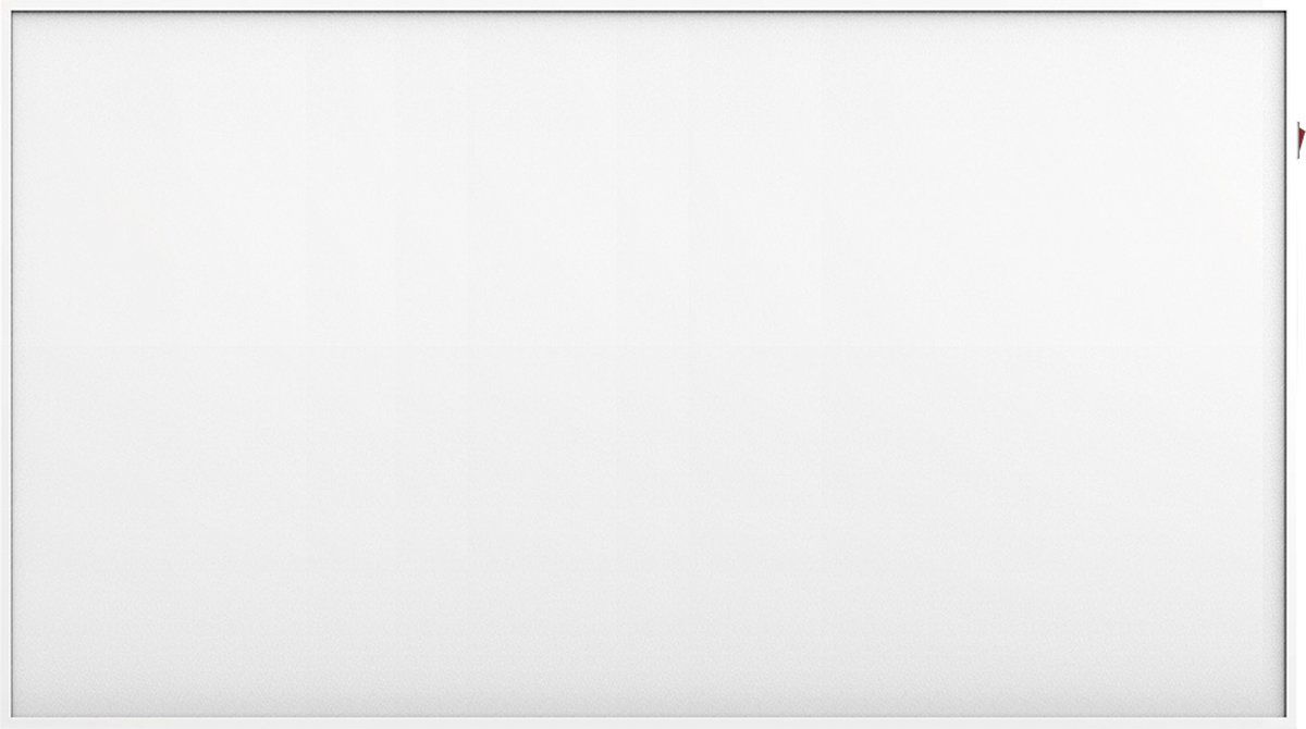 Neo Tools Infrarood verwarmingspaneel 450W, WIFI - wit