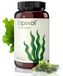 Elpixol Huile d'algues 1000mg capsules avec EPA+DHA - Oméga-3 - vegan, 60 pièces