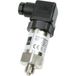 B + B Thermo-Technik Transmetteur de pression 1 pièce 0550 1191-009 0 bar à 25 bar Connecteur de valve ISO 4400 Pièce