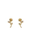 NAEMI Leo E-Commerce Ltd. NAEMI Oorbellen goud