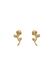 NAEMI Leo E-Commerce Ltd. NAEMI Oorbellen goud