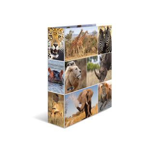 HERMA 7168 Ringbanden Doos Multi